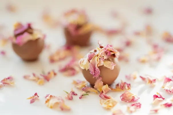 Kasino Chilli Spins Apl Android/iOS